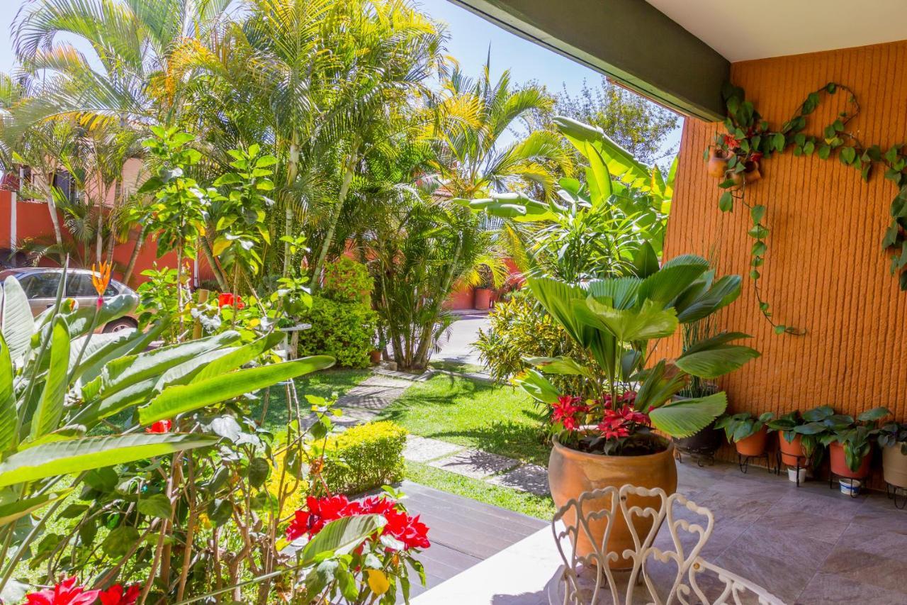Casa De Las Palmas Guest House Oaxaca Exterior photo