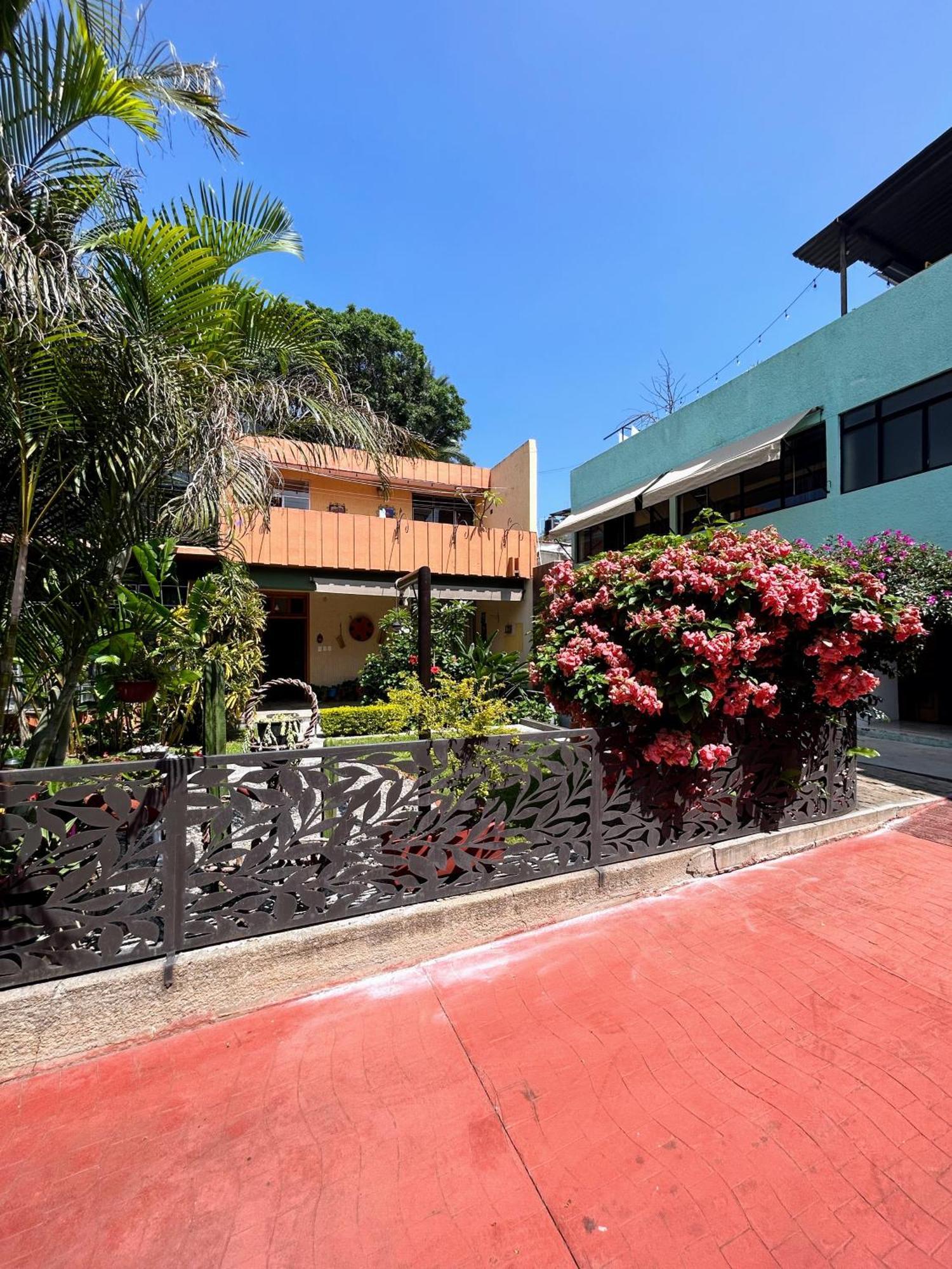Casa De Las Palmas Guest House Oaxaca Exterior photo